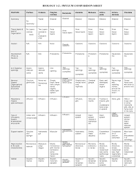 Animal Kingdom Classification Kingdom Characteristics Chart