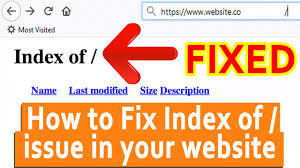 how to fix index of issue while