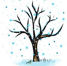 Drzewo Liściaste Zima - Darmowy obraz na Pixabay