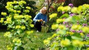 Ontario To Reopen Gardening Centres In