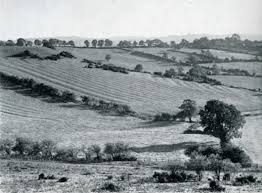 corinne silva val williams lines in the landscapes issue  the pattern of ridge and furrow seen from burrough hill a fosilised medieval field system