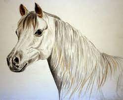 How To Paint Horses Free Watercolour