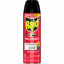 raid ant roach spray spray