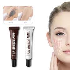 2 skin camouflage make up concealer