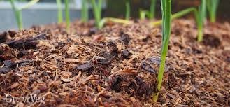 The Pros And Cons Of Mulching