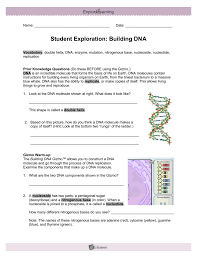 While students are building their dna strands, ask them the following questions Student Exploration Sheet Growing Plants