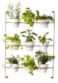 indoor gardening essentials every plant