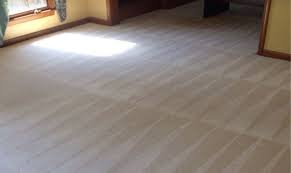 carpet cleaning streamwood mold