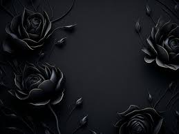black rose wallpaper images free
