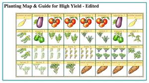 Vegetable Garden Layout Graphs