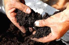 5 Important Soil Nutrient Deficiencies