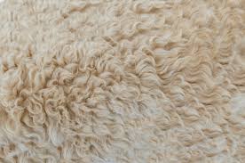 how to clean faux fur rug