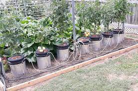 A Primer On Hydroponic Gardening Grow