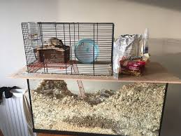 gerbil cages diy hamster house