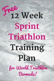 12 week sprint triathlon training