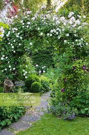 Romantic Garden With Stock Photo By