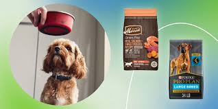 How To For The Best Dog Food In