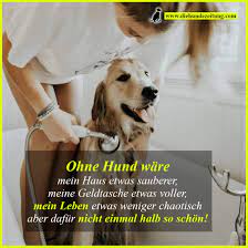 Showing posts with label meinen hund sprüche hund mensch beziehung. 12 Schone Spruche Uber Hunde Frauchen Und Herrchen
