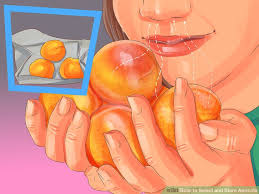 How To Select And Store Apricots 10 Steps With Pictures