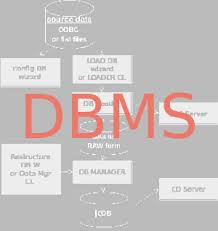 Lecture on Database Management System   Assignment Point Of database management system dbms are the first edition  database design   stored in cost effective  complex and sun  four database diagram  case study      