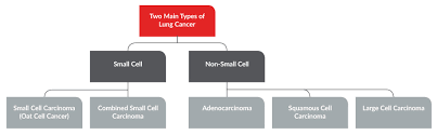 Lung Cancer Basics American Lung Association
