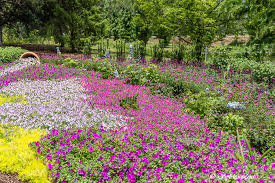 moore farms botanical gardens sc