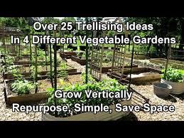 Over 25 Vegetable Garden Trellising