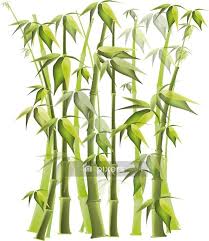 Wall Decal Green Vector Bamboo Forest