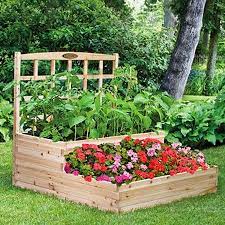 Tiered Raised Garden Bed With Trellis