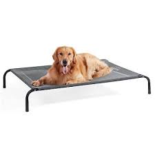 Raised Dog Cots Beds For Large Dogs