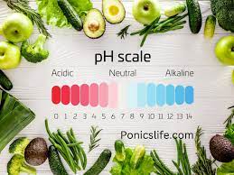 hydroponic charts for fruits and