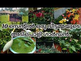 Garden Tour Malayalam Akkustips Vlogs