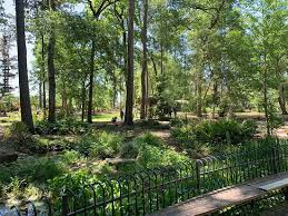 mercer arboretum and botanic gardens
