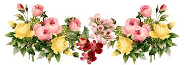 Seeking more png image flower plants png,cherry blossom flower png,flower crown png? Bunga Png Images Vektor Bunga Free Download Free Transparent Png Logos