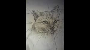Download hoge kwaliteit kat tekening foto's voor commerciële projecten. Hoe Teken Je Een Kat Dieren Tekenen 2 Youtube