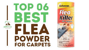 top best flea powders for carpets you