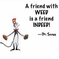 Share these top dr seuss quotes about friendship pictures with your friends on social networking sites. A Friend With Weer Is A Friend Indeer Dr Seuss Dr Seuss Meme On Me Me