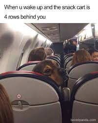 Find and save spirit airlines memes | from instagram, facebook, tumblr, twitter & more. 30 Airport And Travel Memes For Everyone Who Has Traveled At Least Once Bored Panda