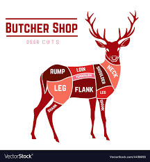 Deer Meat Cuts In Color