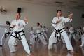 Book Taekwondo Patterns Personal Training with a trainer of champions