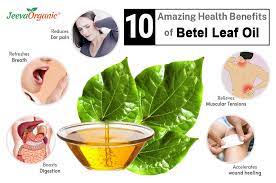 health benefits of betel leaf oil