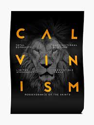 Calvinism And Tulip Christian T Shirt Poster