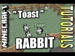 minecraft ps4 toast bunny how to