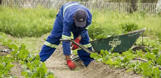 Start A Gardening Business In South Africa