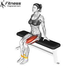 seated leg extension with resistance