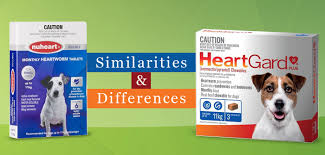 Differences Of Nuheart Heartgard Plus