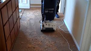 dry carpet cleaning services