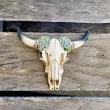 Texas Longhorn Skullsgreen Mini