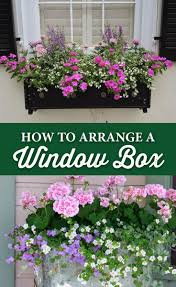 how to arrange a window box crocker