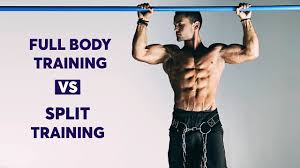 full body workouts vs split training in